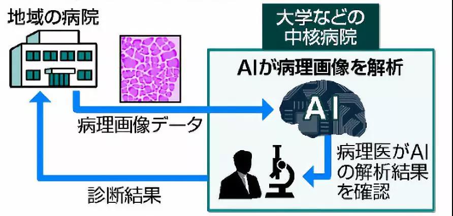 日本胃癌篩查