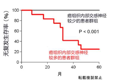 味覺、聽覺與寫作，AI不動聲色地步入我們的生活