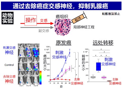 味覺、聽覺與寫作，AI不動聲色地步入我們的生活
