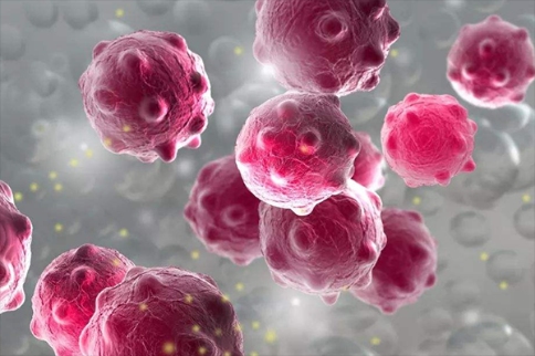 腫瘤細胞新靶點