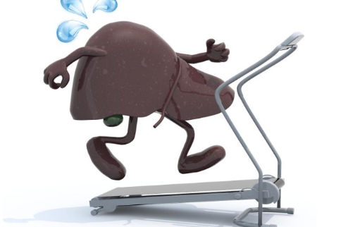 nor-urso治療非酒精性脂肪肝的效果