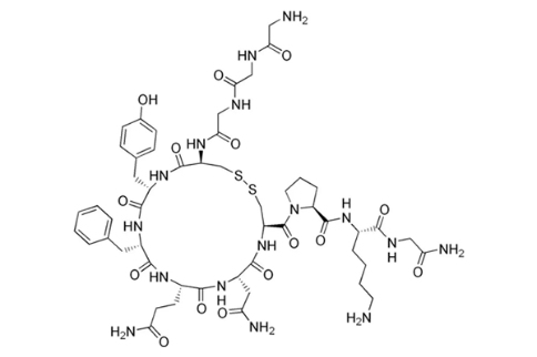 肝腎綜合征新藥特利加壓素