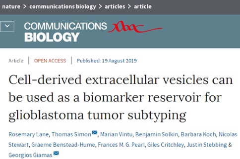 科學家發(fā)現(xiàn)膠質母細胞瘤生物標志物