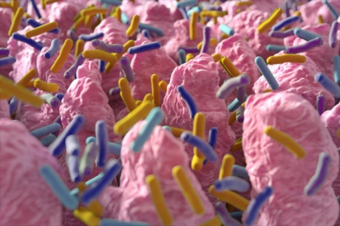 細(xì)菌濃度會(huì)影響漸凍癥進(jìn)展