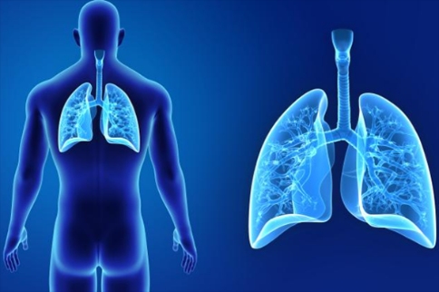 囊性纖維化引起的肺部感染