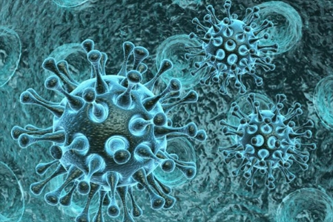 銅綠假單細(xì)菌感染