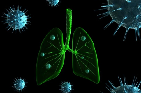 研究揭示了膳食鋅攝入量與宿主對(duì)細(xì)菌性肺炎的耐藥性之間的關(guān)