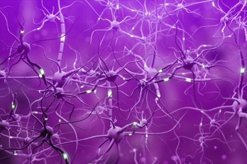 研究發(fā)現(xiàn)新機(jī)制可使神經(jīng)纖維再生