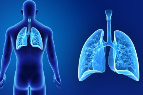 研究發(fā)現(xiàn)新方法來阻止由于膿毒癥和損傷引起的肺部有害炎癥