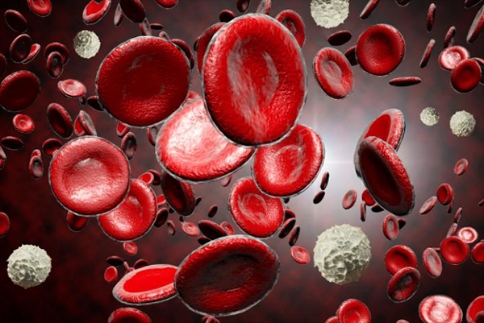 膿毒癥并不是導致肺部白細胞不健康聚集的 條件