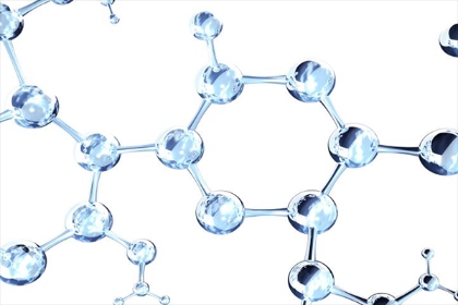RPSAP52 RNA分子觸發(fā)細胞增殖并消除其分化