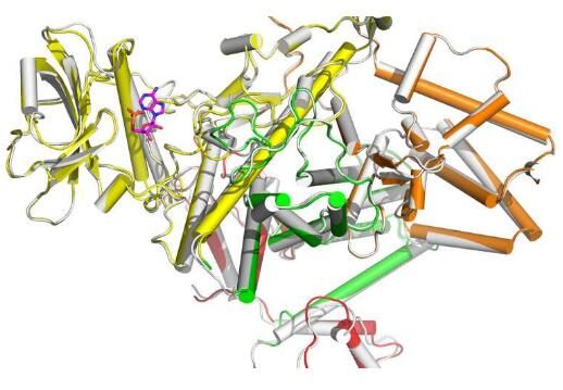 出國看?。罕苊庹`傷！具有靶向作用的抗生素或?qū)⒊霈F(xiàn)