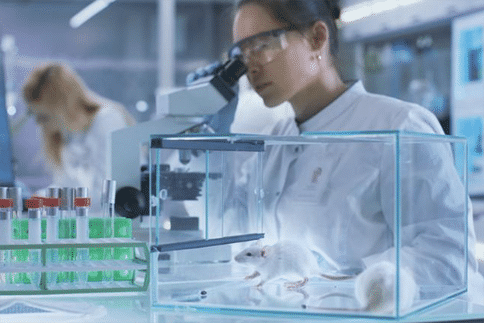 Peroxiredoxin 6可提高小鼠生存率