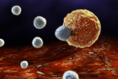 晚期實(shí)體腫瘤治療出現(xiàn)重大突破！工程化修飾自然殺傷細(xì)胞指明新方向