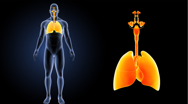 肺癌出國治療：英國新檢測手段可以早期發(fā)現(xiàn)肺癌