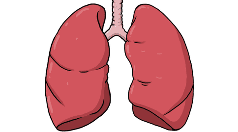 癌癥出國治療：研究人員發(fā)現(xiàn)兩種基因可以協(xié)調(diào)驅(qū)動(dòng)肺癌的發(fā)展！