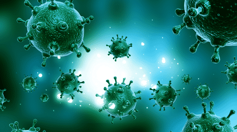 出國(guó)看?。翰《痉诸惓霈F(xiàn)錯(cuò)誤？新研究將重新分類病毒