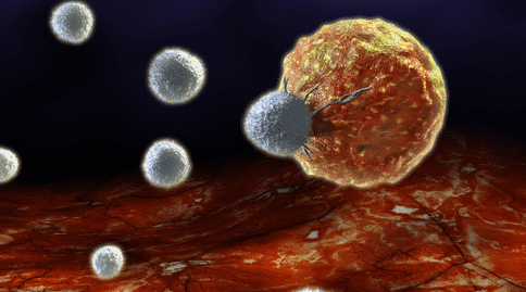 出國(guó)看?。喝绾我龑?dǎo)T細(xì)胞進(jìn)入肺部抵抗感染？科學(xué)人員發(fā)現(xiàn)新方法