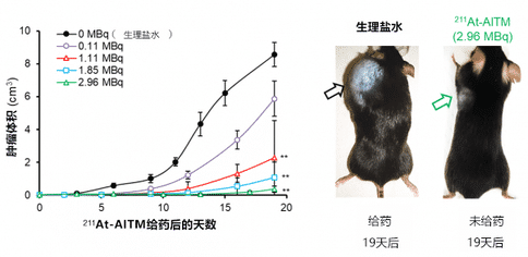 出國(guó)看病：日本研發(fā)出治療惡性黑色素瘤的新方法！