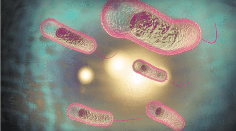 出國(guó)看?。壕G茶中特有的化合物可以有效治療抗生素耐藥細(xì)菌感染！