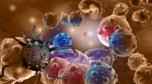 癌癥出國治療：突破常規(guī)！研究人員發(fā)現(xiàn)機體老化或可阻礙癌癥進展