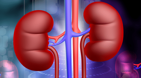 出國(guó)看病：科學(xué)人員找到降低糖尿病患者腎衰竭風(fēng)險(xiǎn)的重要方法！