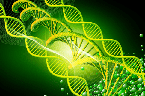 “垃圾DNA”與癌癥風(fēng)險密切相關(guān)，或可開發(fā)出新型癌癥治療方法