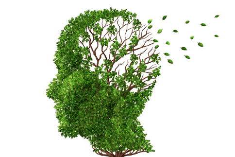 打破常規(guī)！研究人員發(fā)現(xiàn)載脂蛋白E4在癡呆癥中起到更為重要的作用