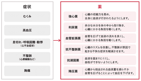 日本如何治療心臟瓣膜病?日本治療心臟瓣膜病的方法