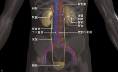 輸尿管癌治療,輸尿管癌治療方法,輸尿管癌