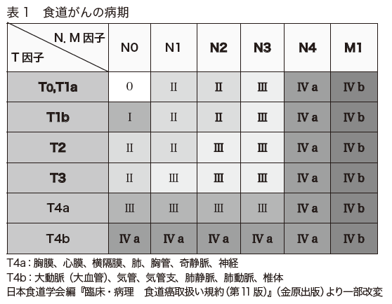 食道癌分期