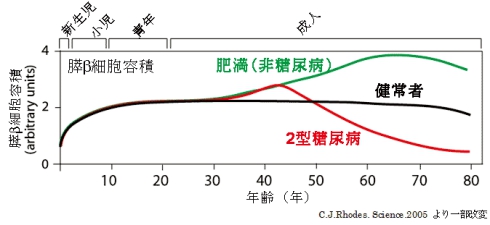 日本東京慈惠會(huì)醫(yī)科大學(xué)附屬醫(yī)院