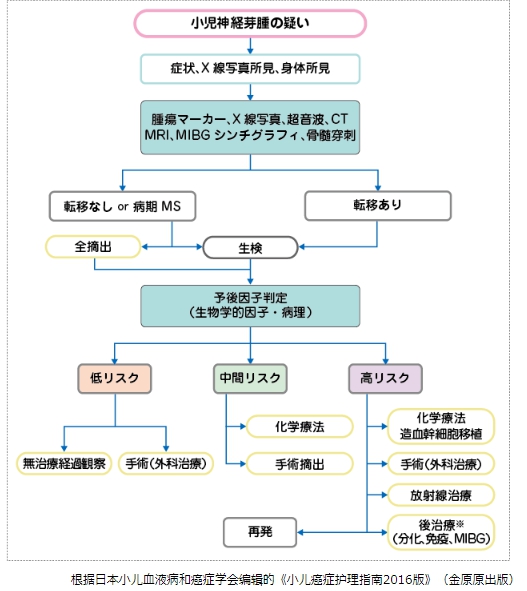 兒童神經(jīng)母細胞瘤治療