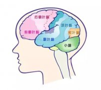 腦膜瘤,腦膜瘤生存率,患有腦膜瘤能活多久