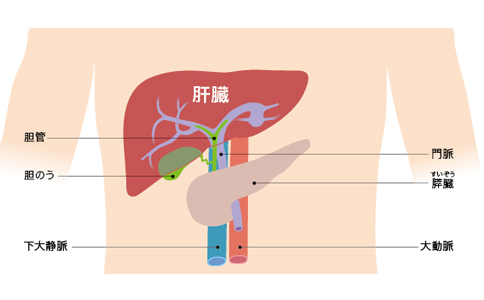 日本肝癌治療方法