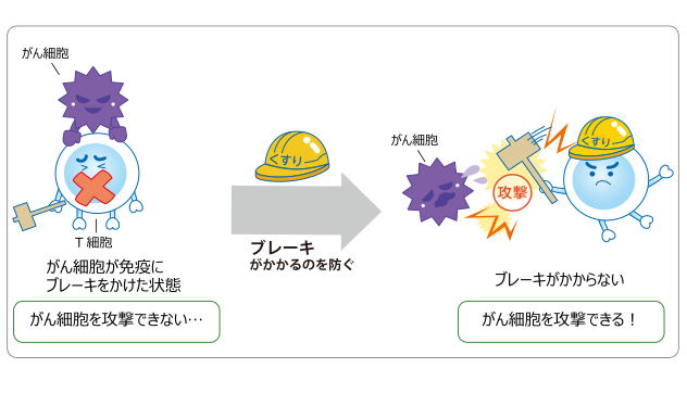 免疫檢查點(diǎn)抑制劑作用原理