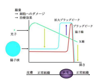 質(zhì)子線