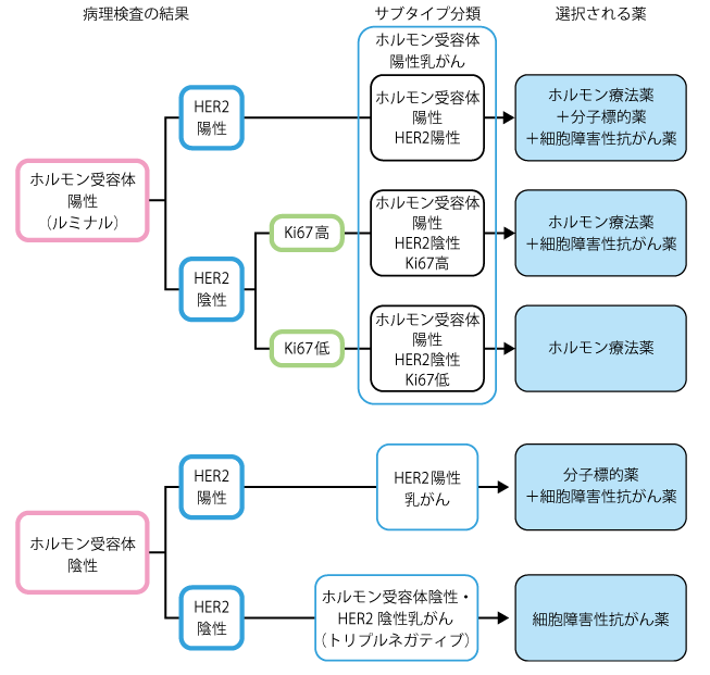 乳腺癌分類