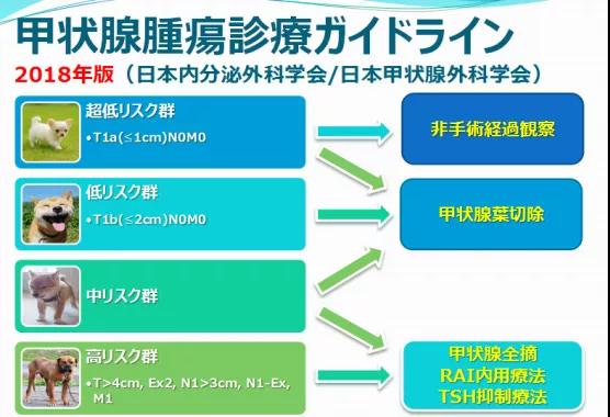 日本甲狀腺腫瘤診療指南