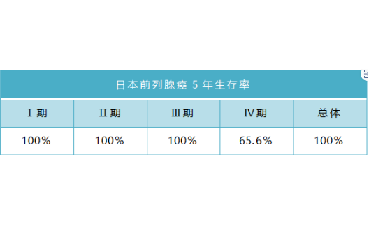 前列腺癌日本治療