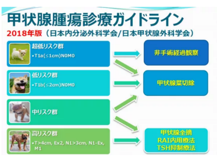 美國看病甲狀腺癌治療